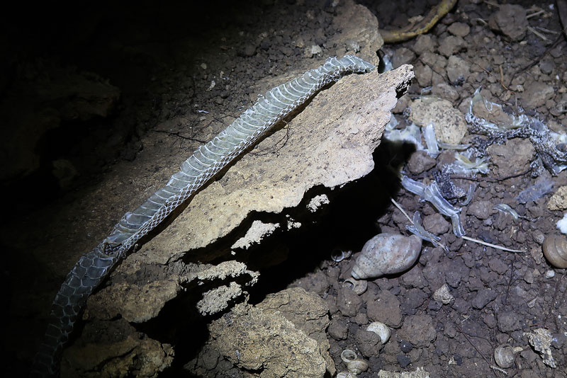 遺骨収集の様子35