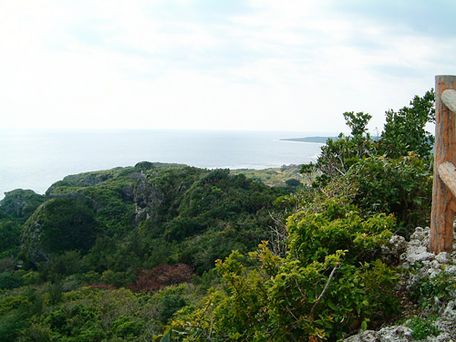 御遺骨発見現場の様子1