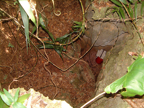 御遺骨発見現場の様子4