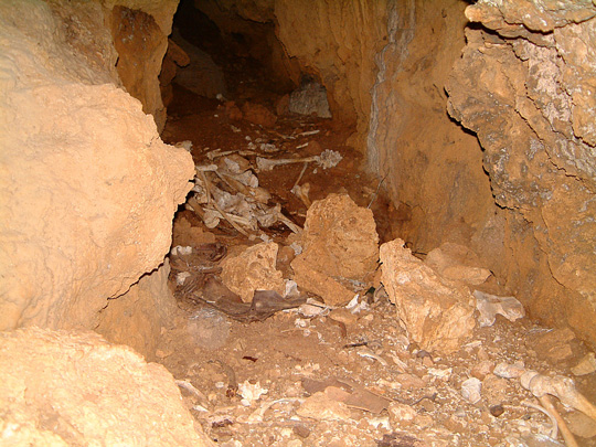 御遺骨発見現場の様子10