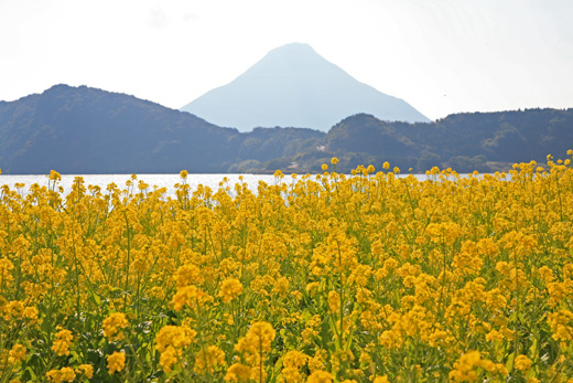 薩摩半島の様子2