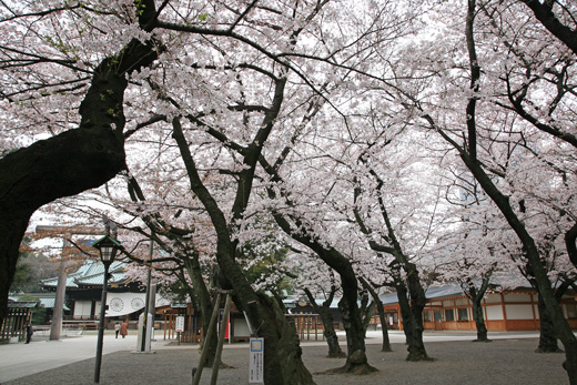 靖國神社の様子