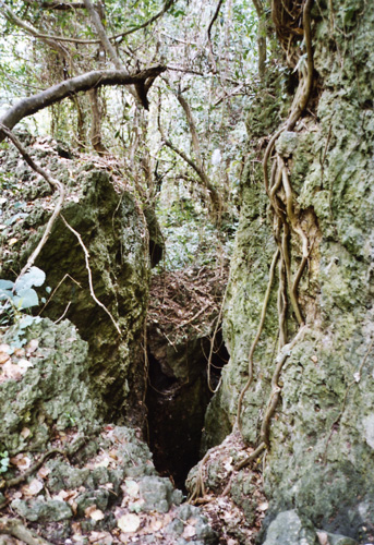 遺骨収集の作業手順の様子3