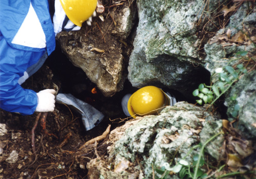 遺骨収集の作業手順の様子5