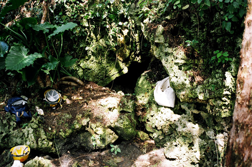 遺骨収集の作業手順の様子7