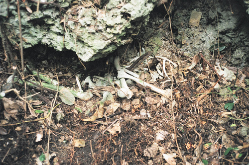 遺骨収集の作業手順の様子20