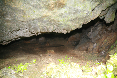 遺骨収集の様子23