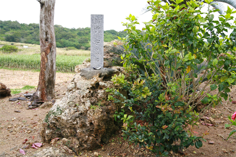 遺骨収集の様子29