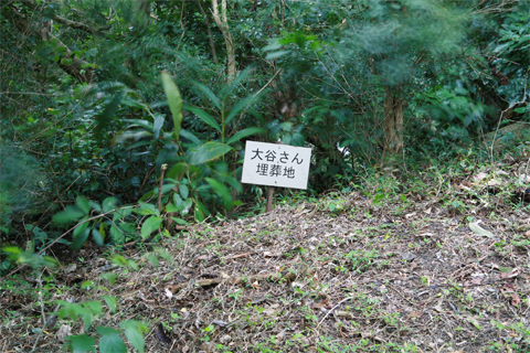 遺骨収集の様子57