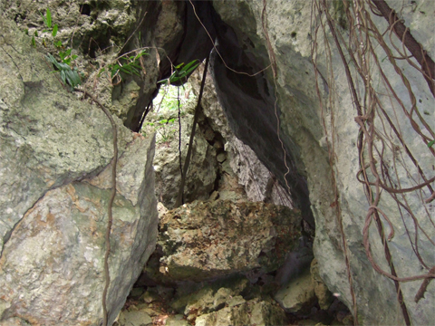 遺骨収集の様子27