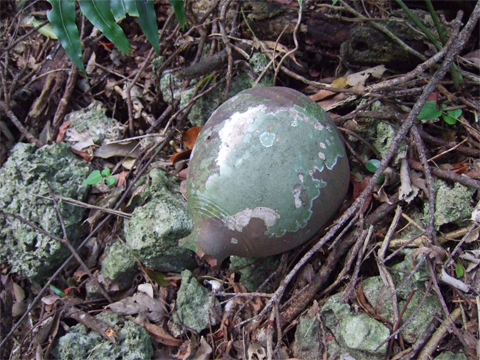 遺骨収集の様子12