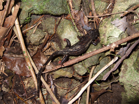 遺骨収集の様子24