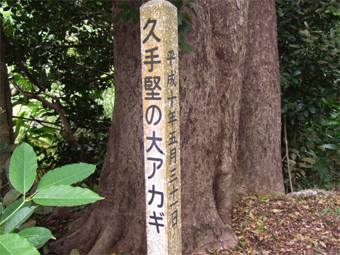 遺骨収集の様子22