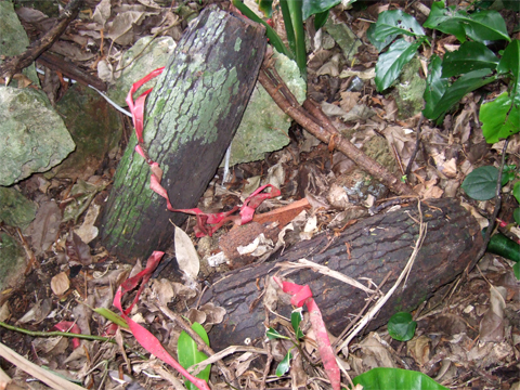 遺骨収集の様子34