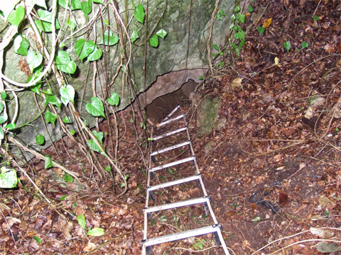 遺骨収集の様子9