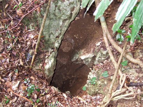 遺骨収集の様子12