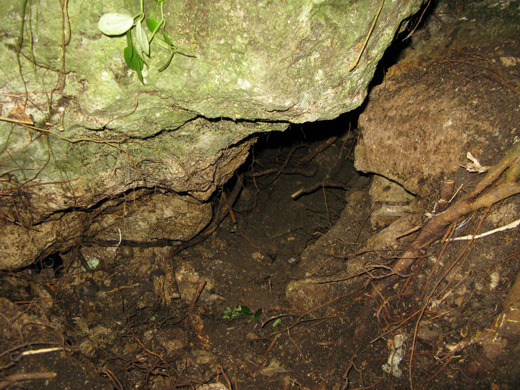 遺骨収集の様子21