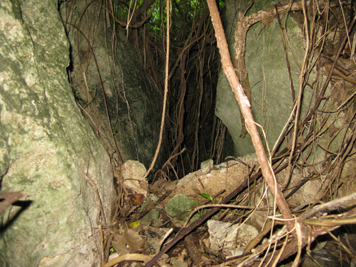 遺骨収集の様子12