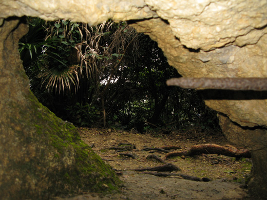 遺骨収集の様子12