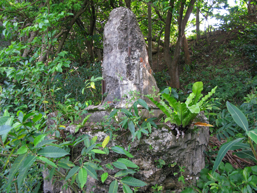 遺骨収集の様子85