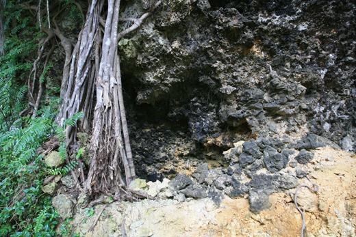 遺骨収集の様子25