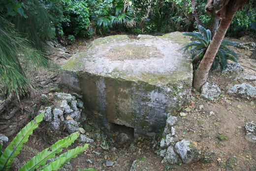 遺骨収集の様子10