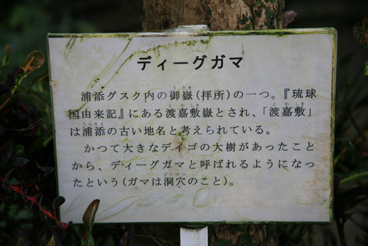 遺骨収集の様子40