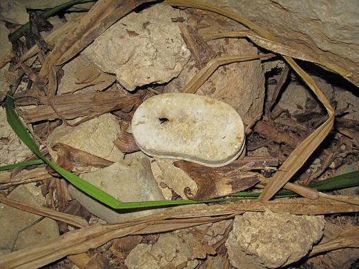 遺骨収集の様子20