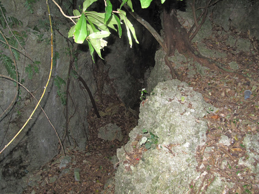 遺骨収集の様子5