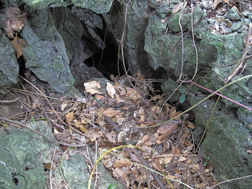 遺骨収集の様子19