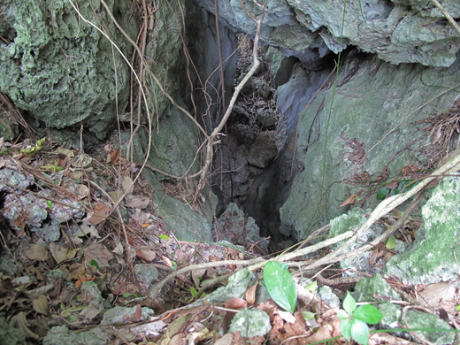 遺骨収集の様子17