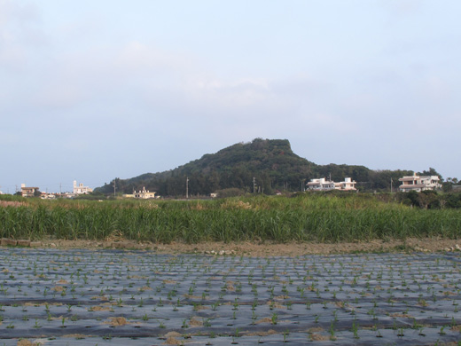 遺骨収集の様子33