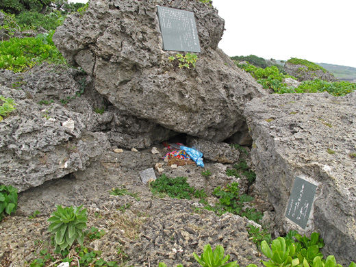 遺骨収集の様子15