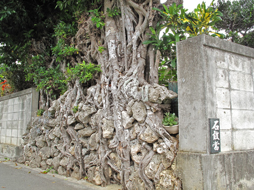 遺骨収集の様子35