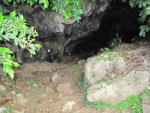 遺骨収集の様子35