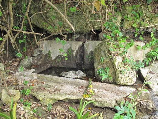 遺骨収集の様子11