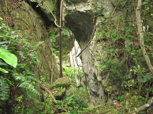 遺骨収集の様子9