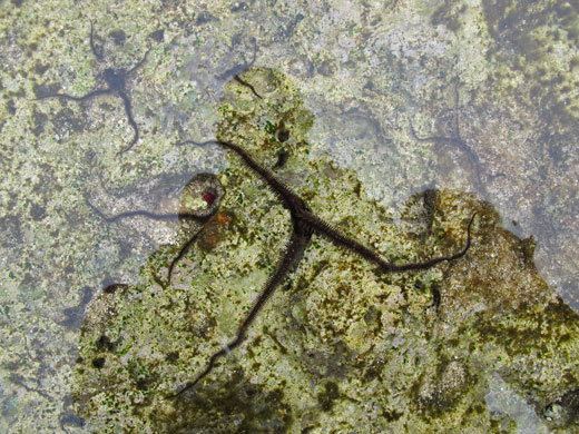 遺骨収集の様子39