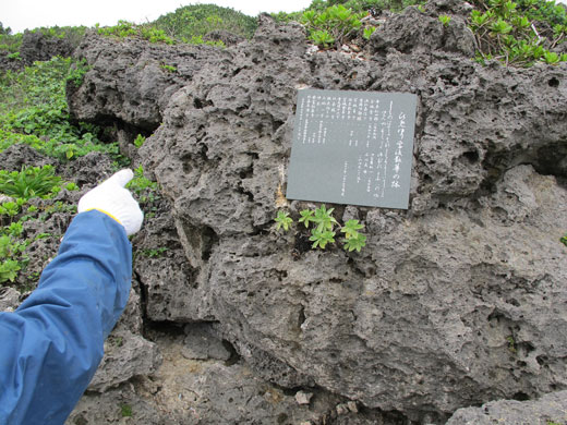 遺骨収集の様子17