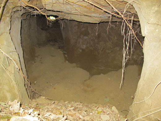 遺骨収集の様子54