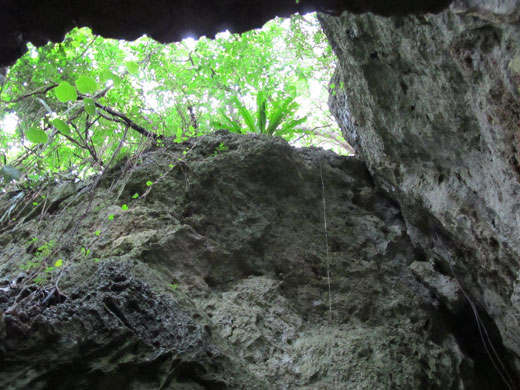 遺骨収集の様子21