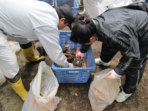 遺骨収集の様子19