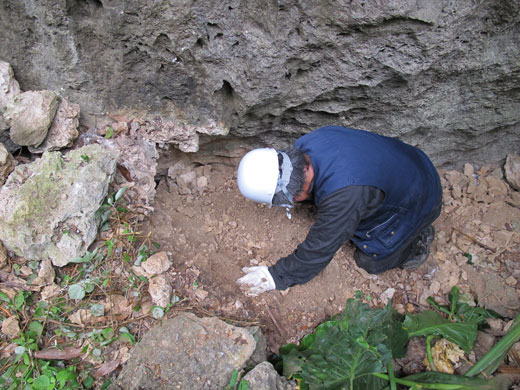 遺骨収集の様子23