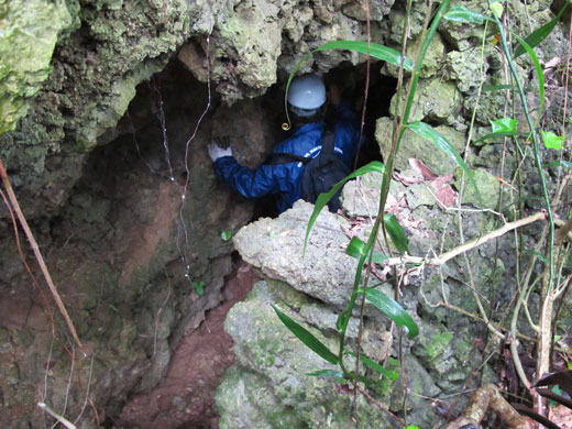 遺骨収集の様子41