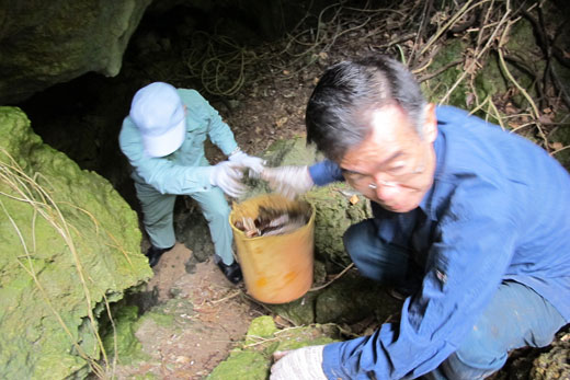 摩文仁清掃奉仕の様子9