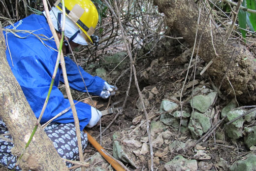 「沖縄県遺族会」遺骨収集の様子3