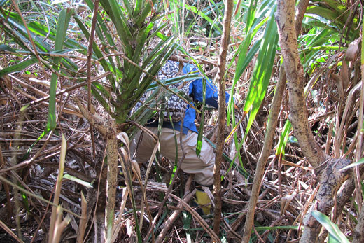 「沖縄県遺族会」遺骨収集の様子5