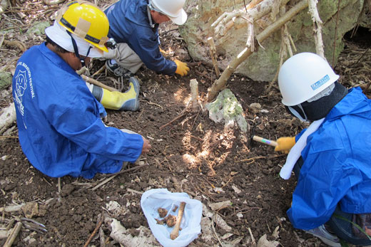 「沖縄県遺族会」遺骨収集の様子13