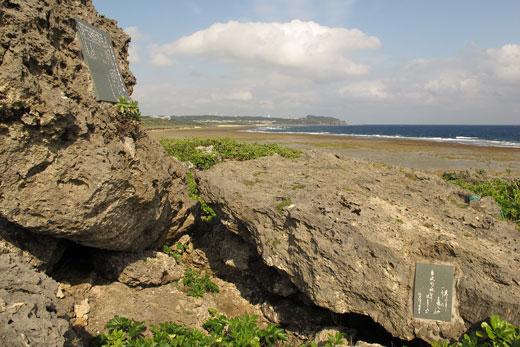 海岸線の様子2