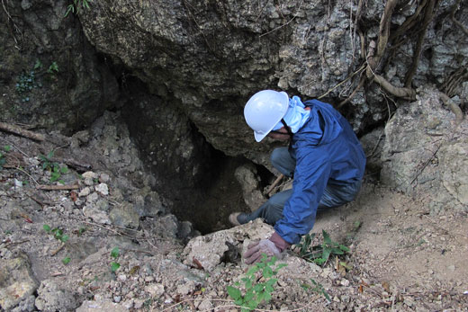 遺骨調査・収集遺骨収集の様子10